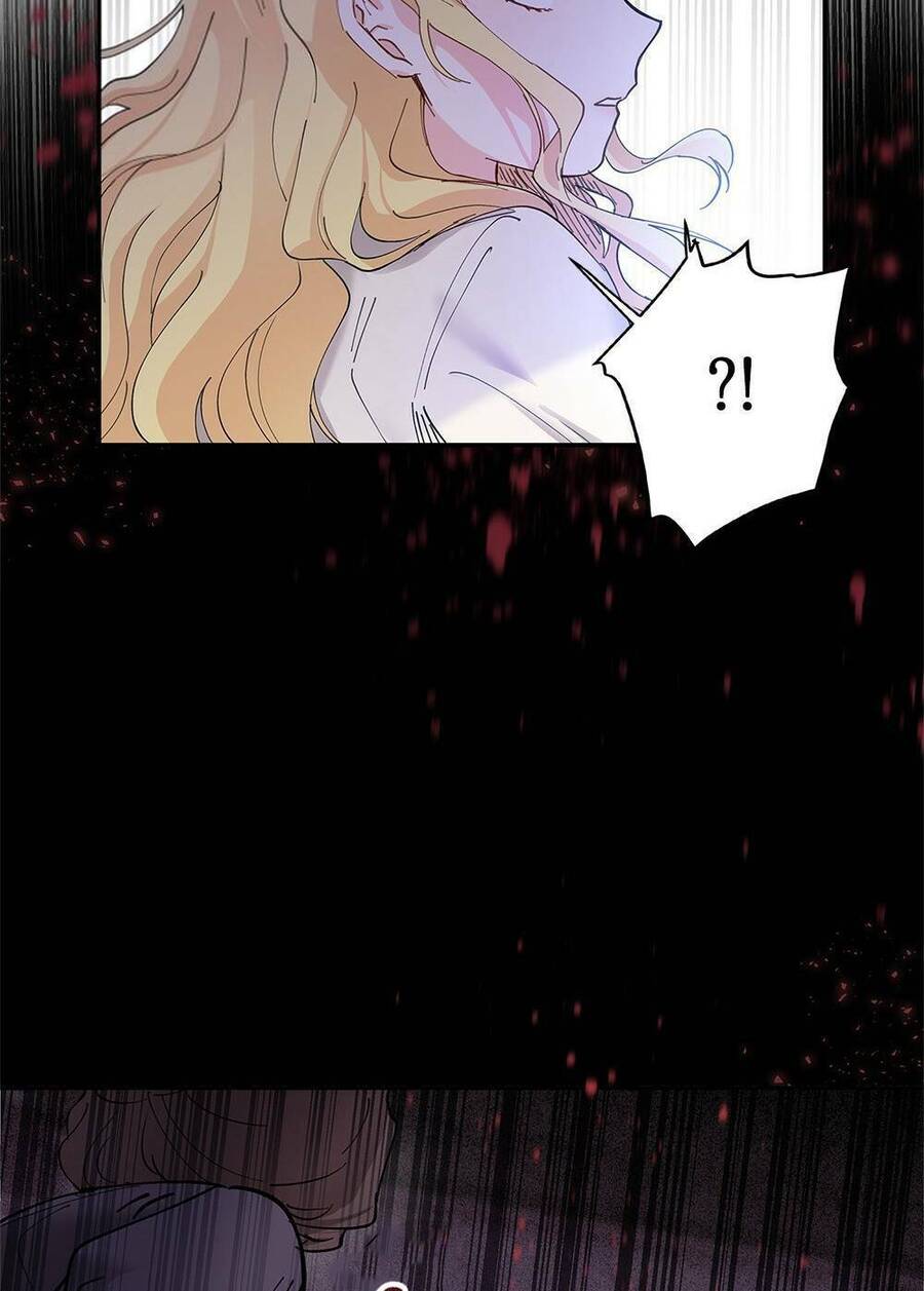 Tìm Lại Camellia - Chương 2