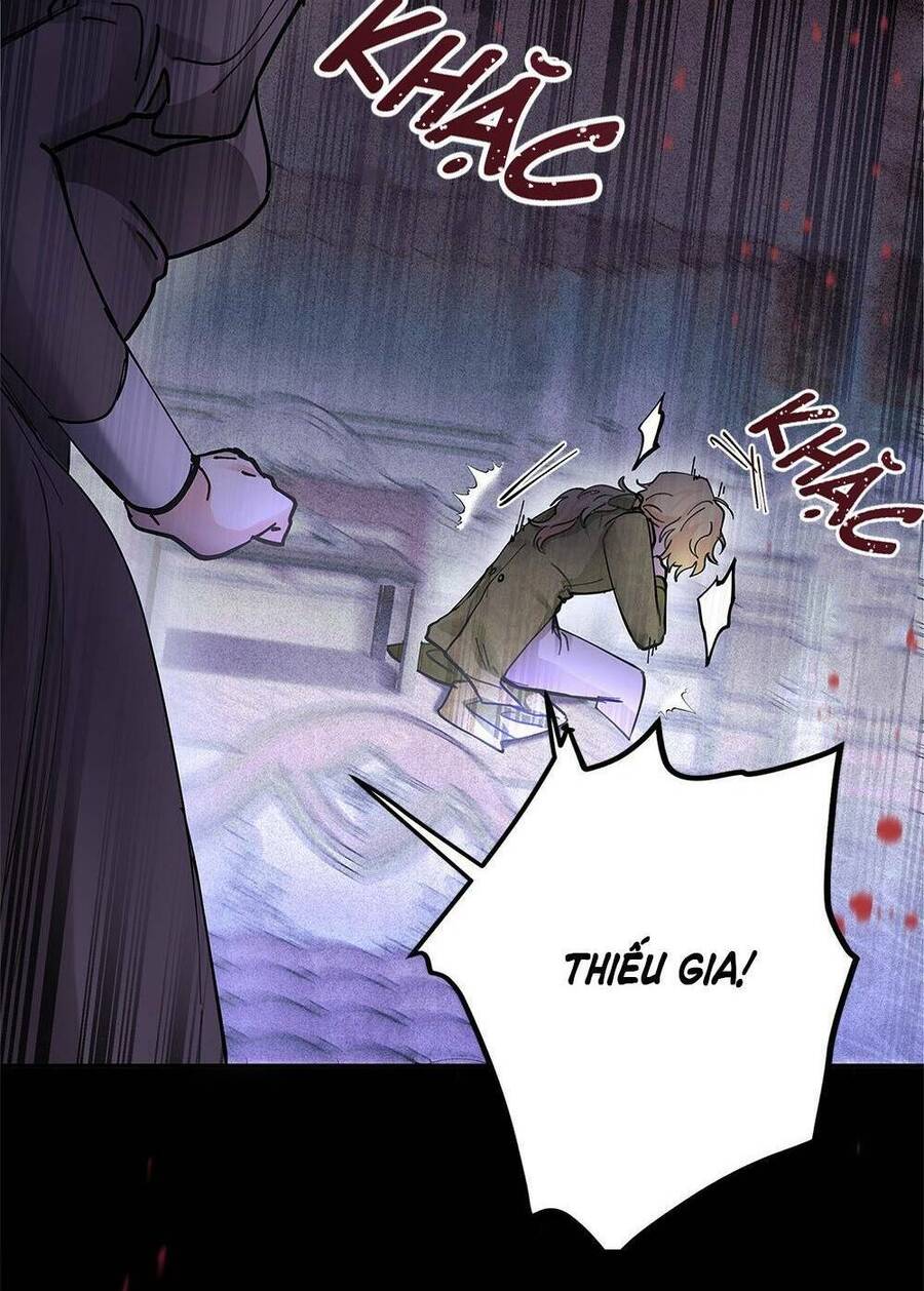 Tìm Lại Camellia - Chương 2