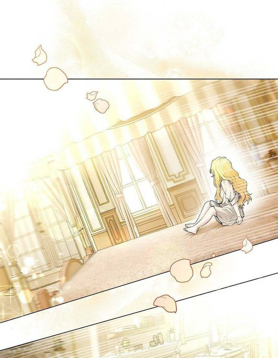 Tìm Lại Camellia - Chương 2