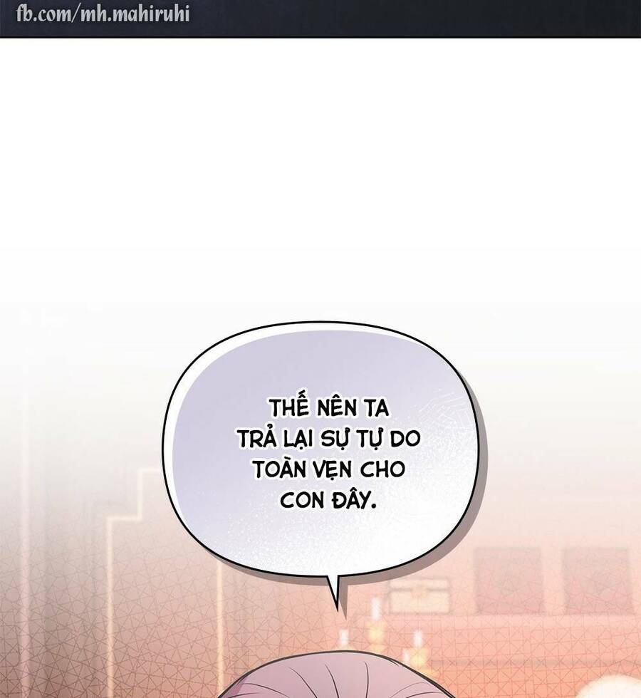 Tìm Lại Camellia - Chương 21