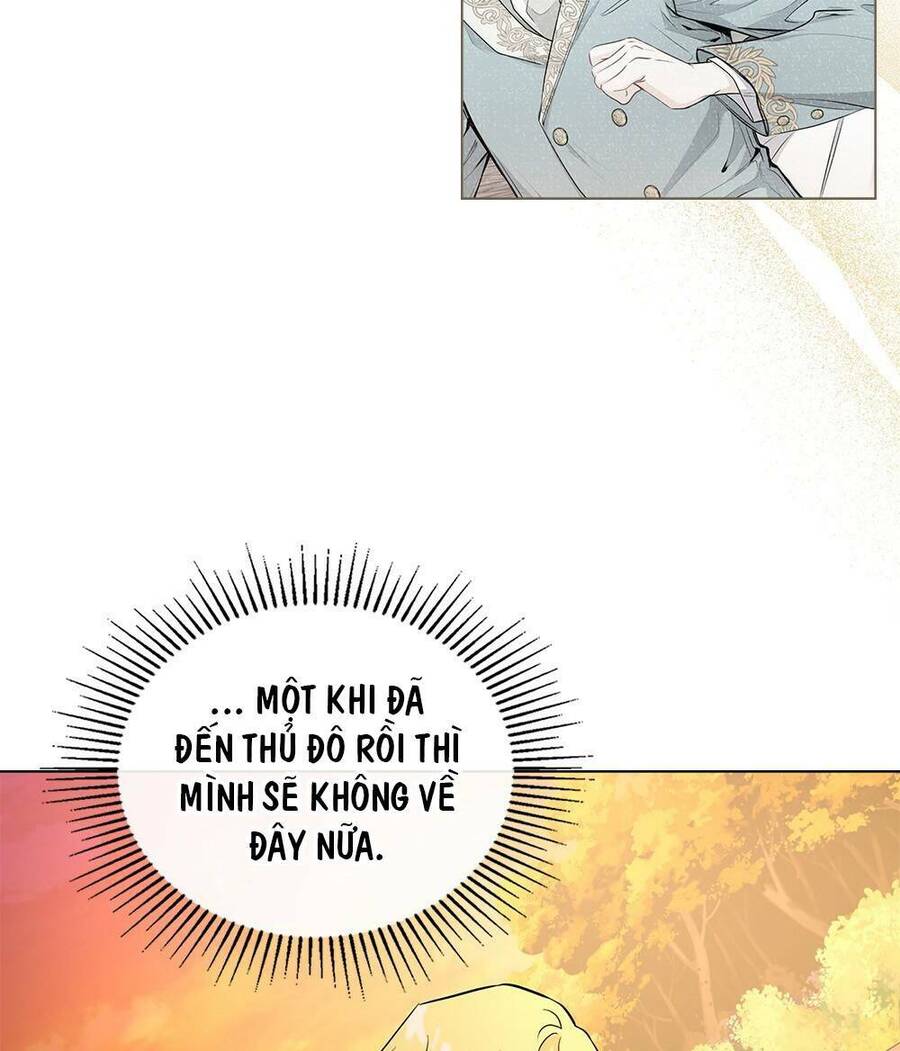 Tìm Lại Camellia - Chương 21