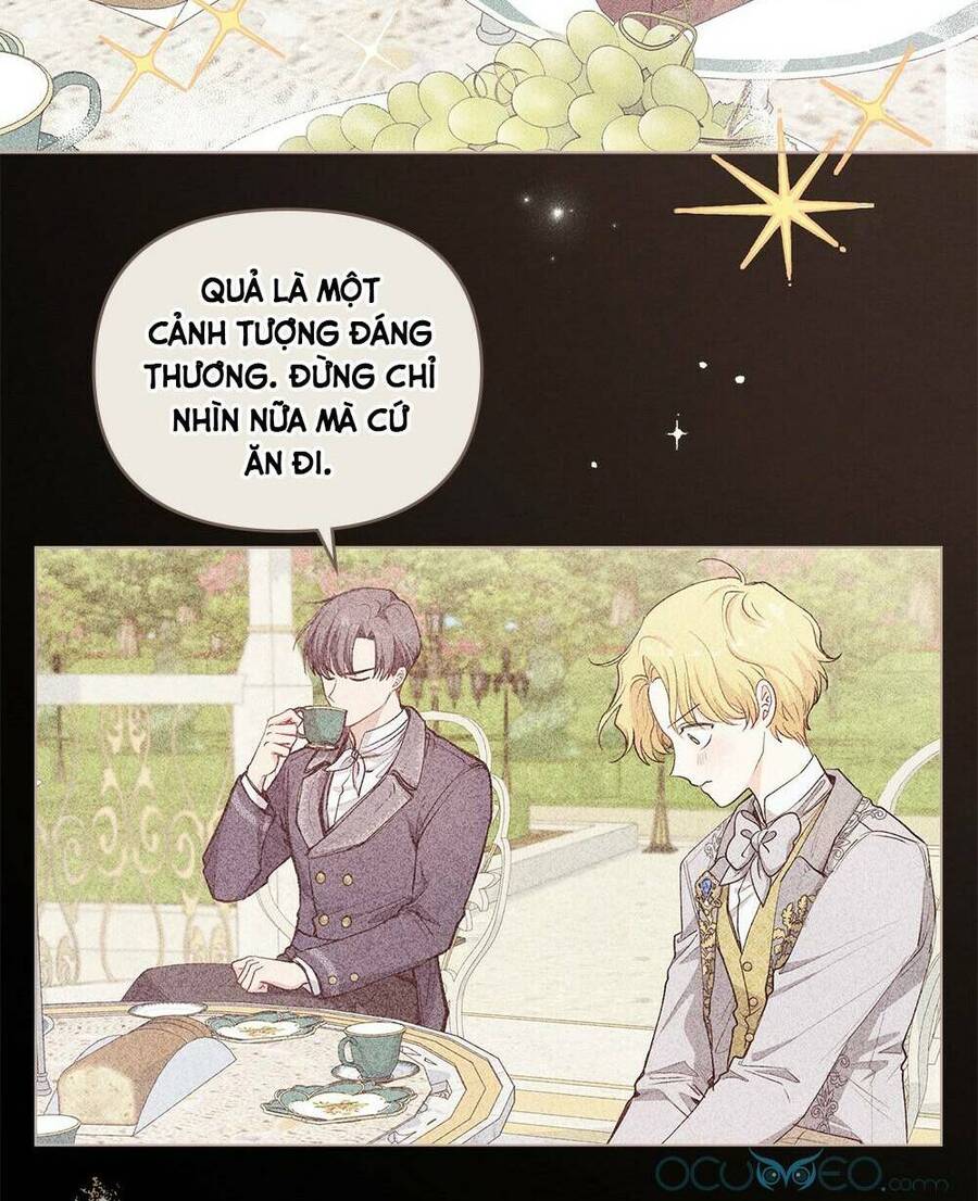 Tìm Lại Camellia - Chương 24