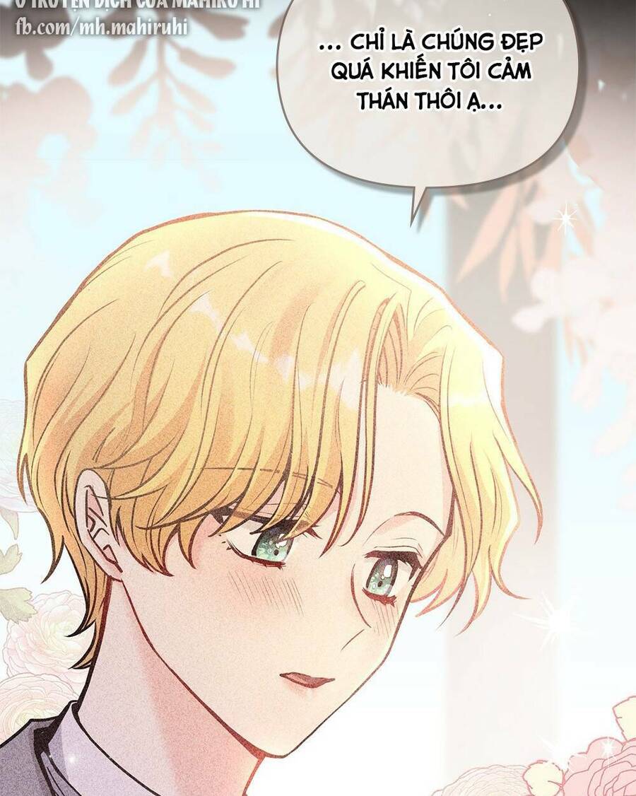 Tìm Lại Camellia - Chương 24