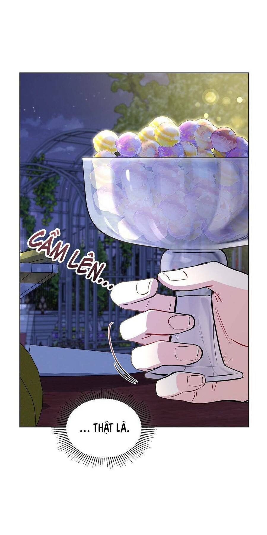 Tìm Lại Camellia - Chương 25