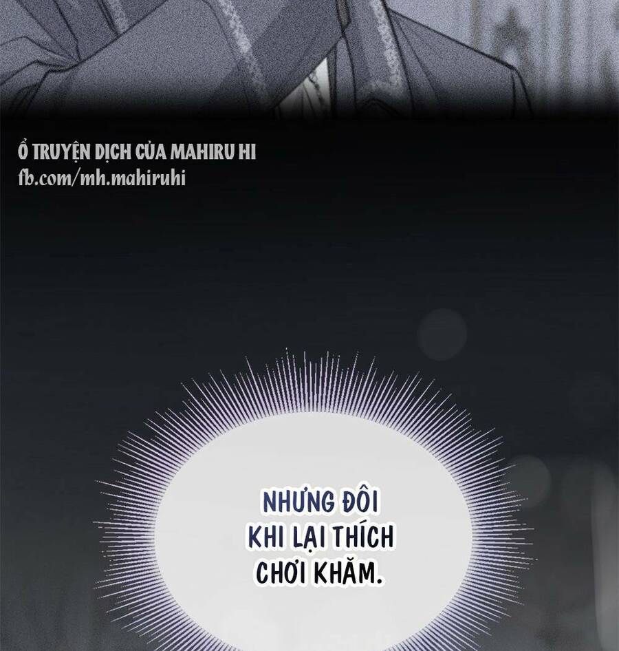 Tìm Lại Camellia - Chương 25