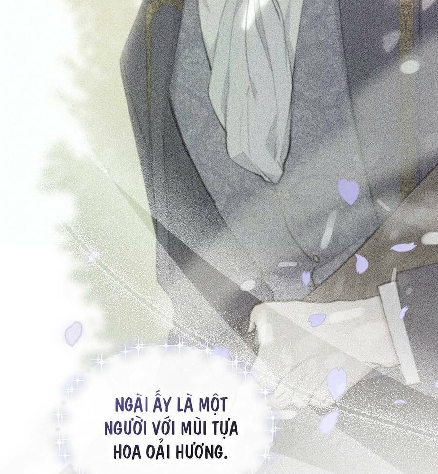 Tìm Lại Camellia - Chương 25