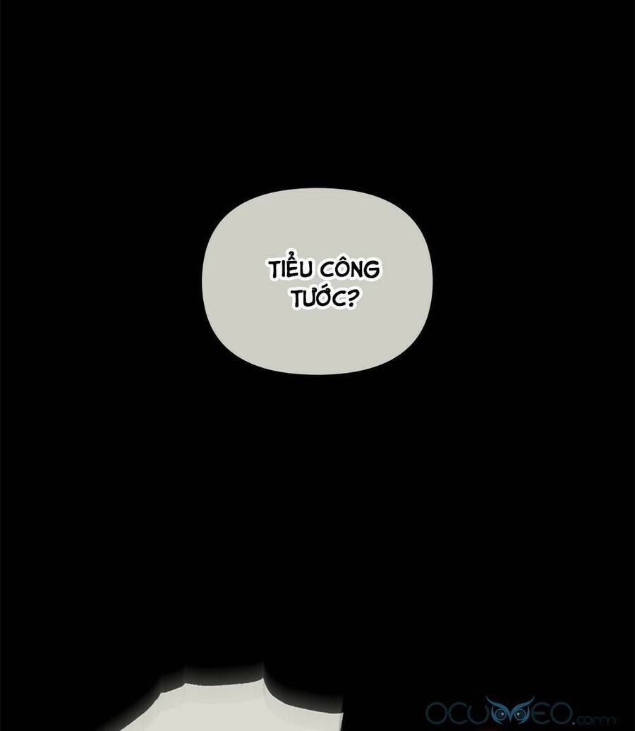 Tìm Lại Camellia - Chương 27