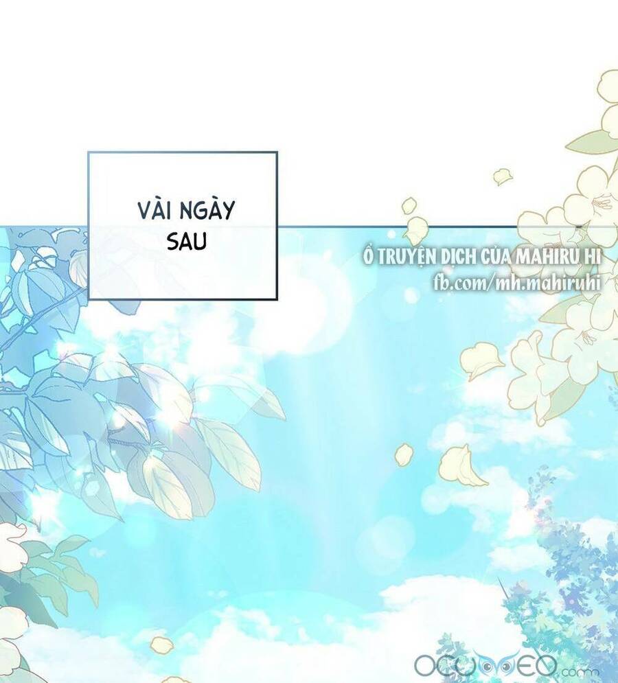 Tìm Lại Camellia - Chương 28