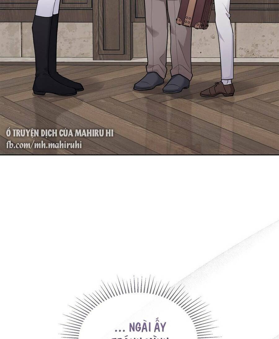 Tìm Lại Camellia - Chương 28