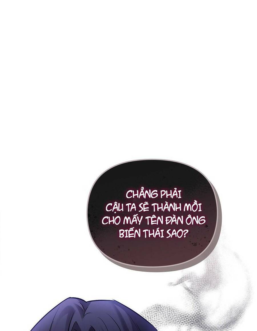 Tìm Lại Camellia - Chương 28