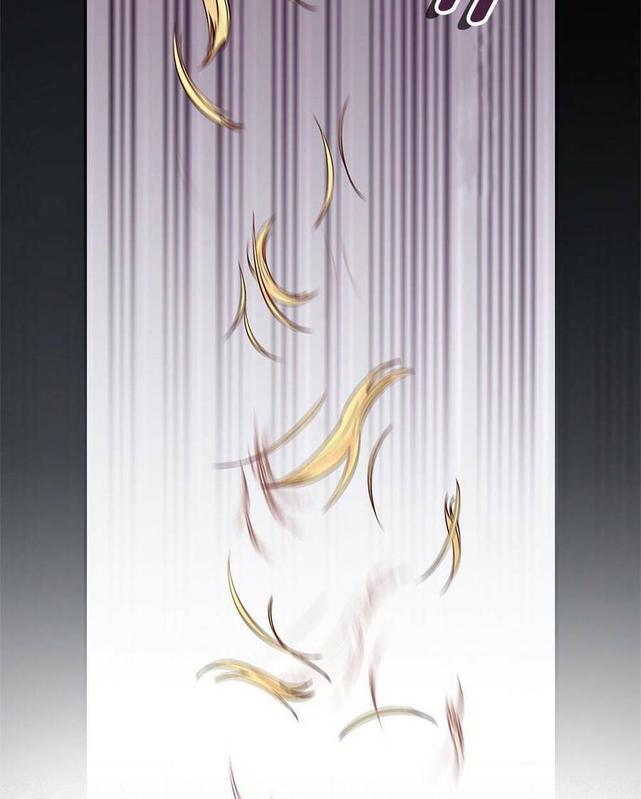 Tìm Lại Camellia - Chương 3