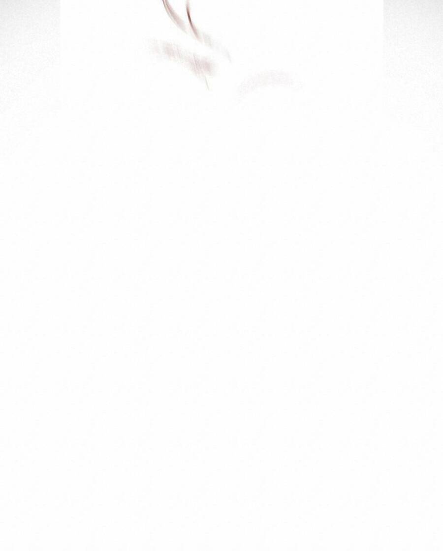 Tìm Lại Camellia - Chương 3