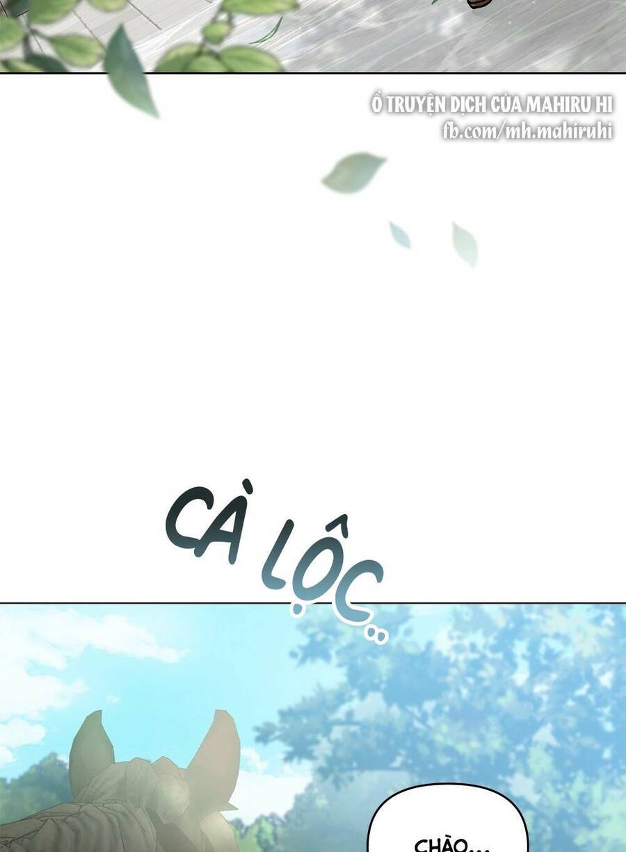 Tìm Lại Camellia - Chương 30