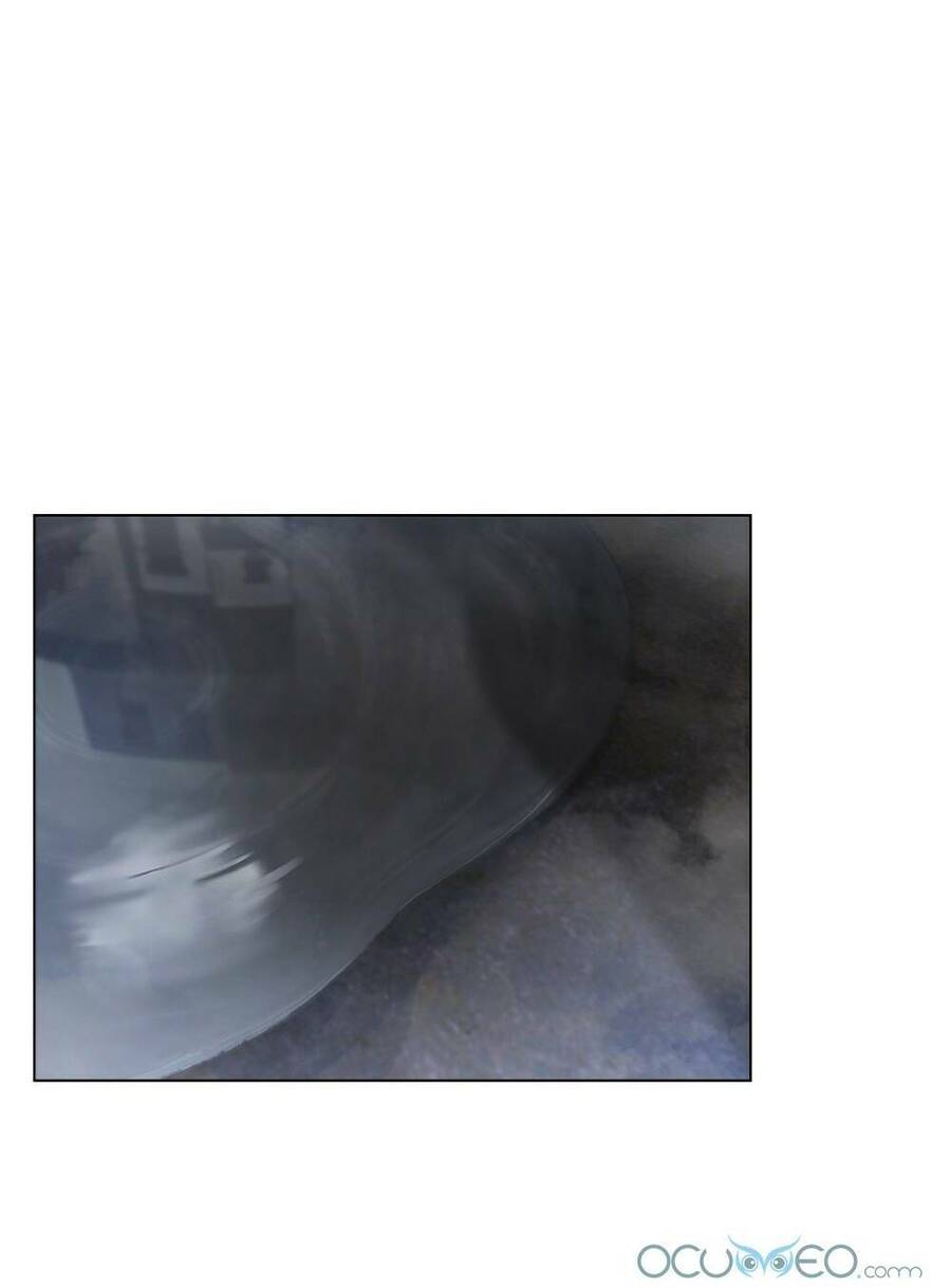 Tìm Lại Camellia - Chương 30