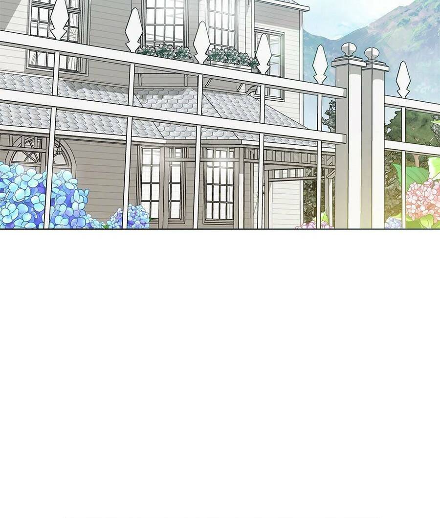 Tìm Lại Camellia - Chương 31