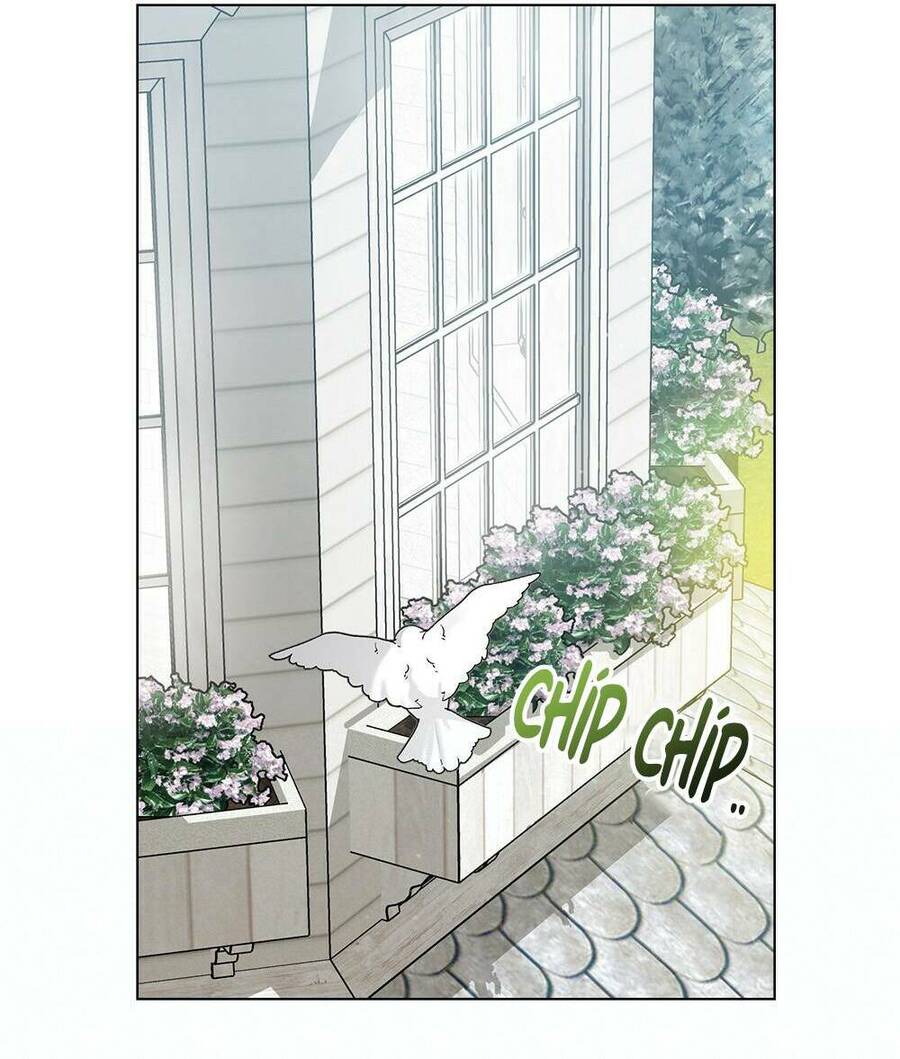 Tìm Lại Camellia - Chương 31