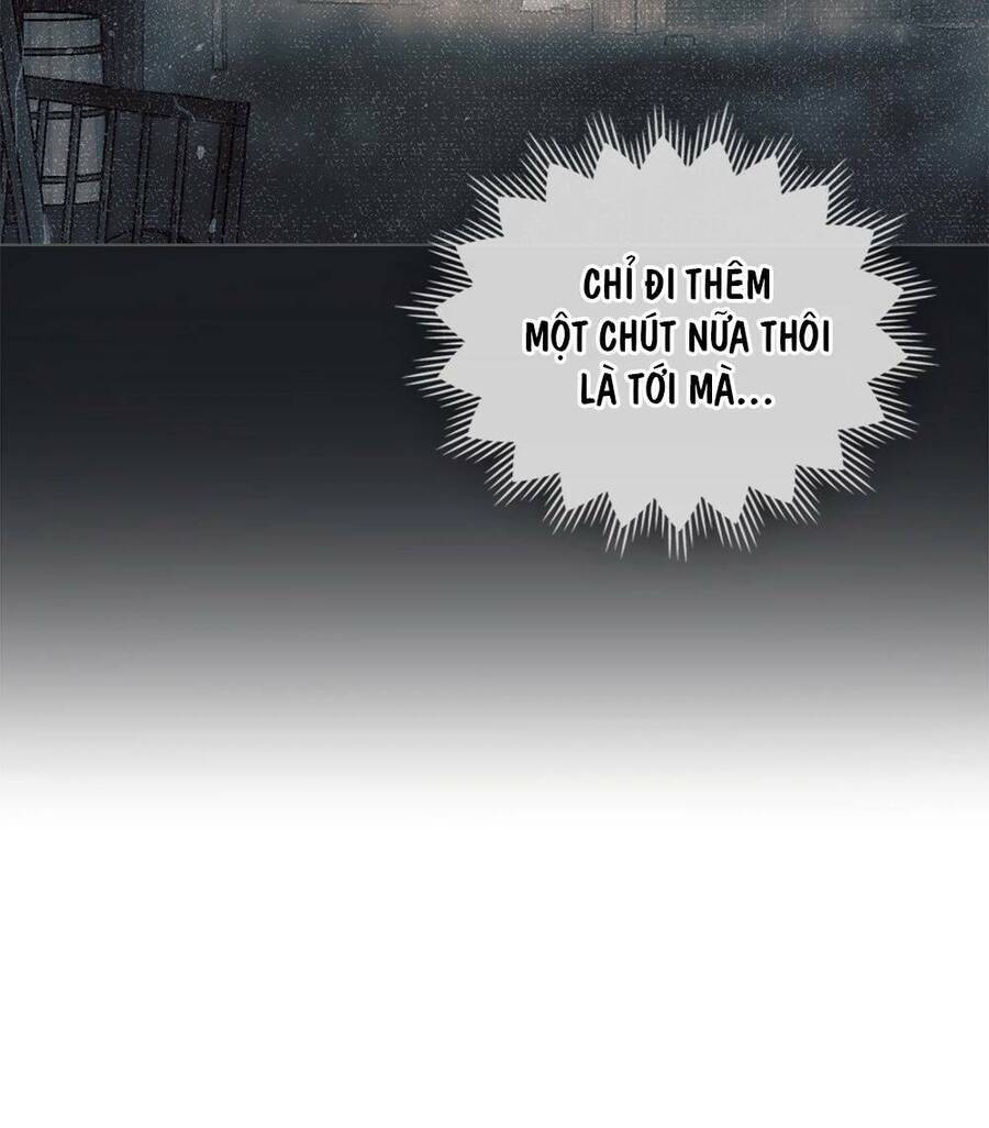 Tìm Lại Camellia - Chương 31