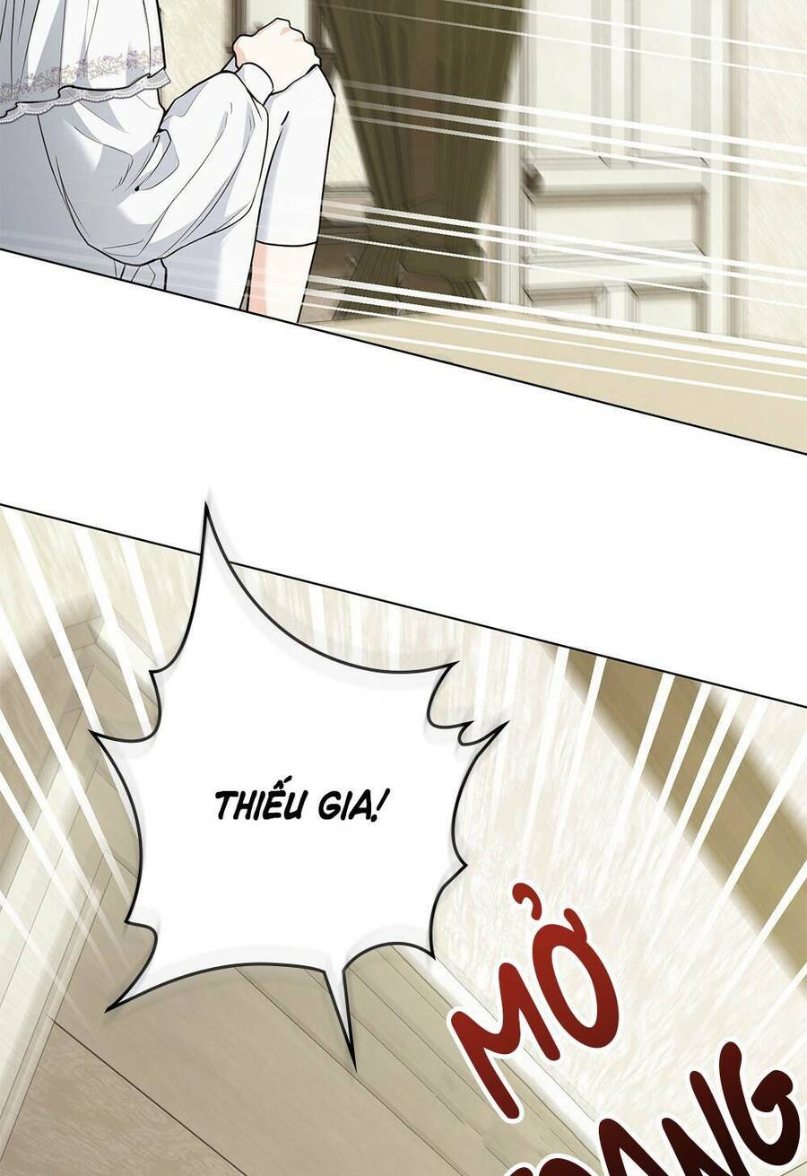 Tìm Lại Camellia - Chương 31