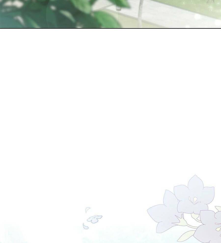 Tìm Lại Camellia - Chương 32