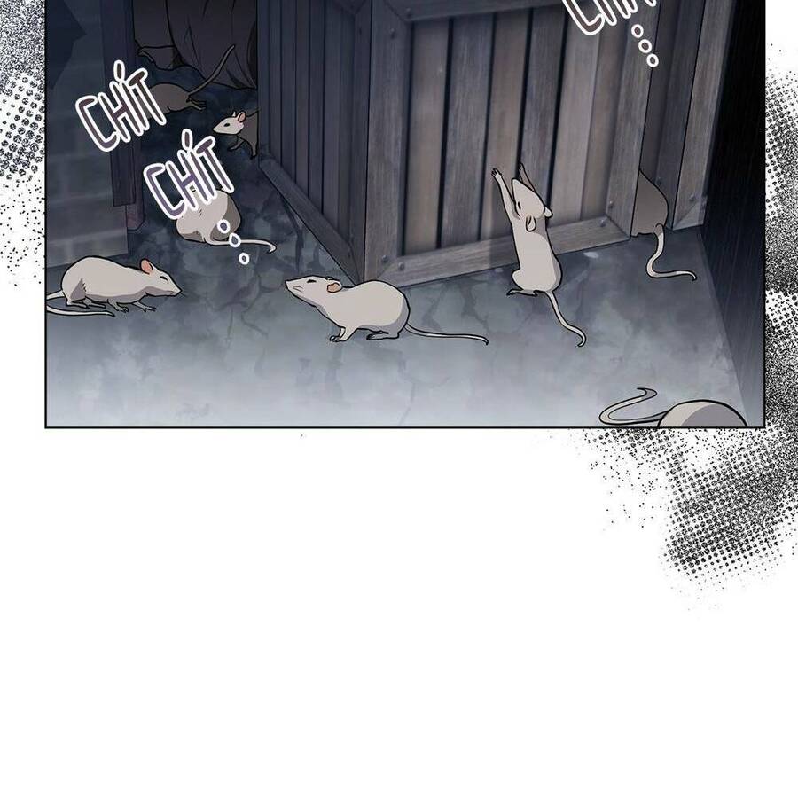 Tìm Lại Camellia - Chương 33