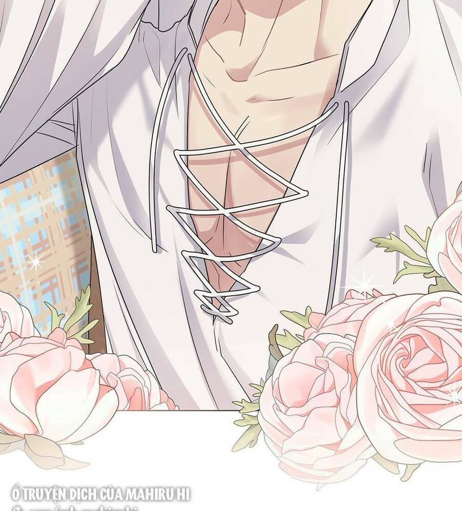 Tìm Lại Camellia - Chương 33