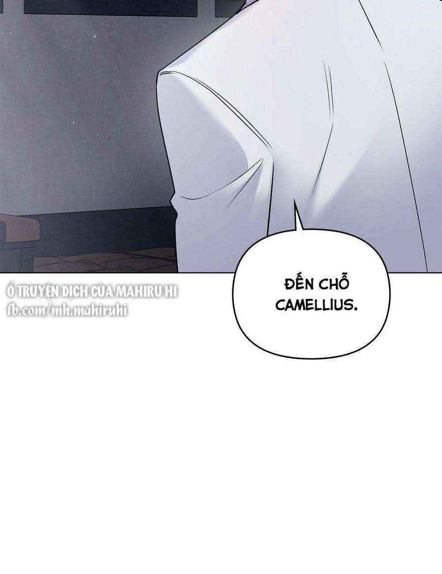 Tìm Lại Camellia - Chương 34