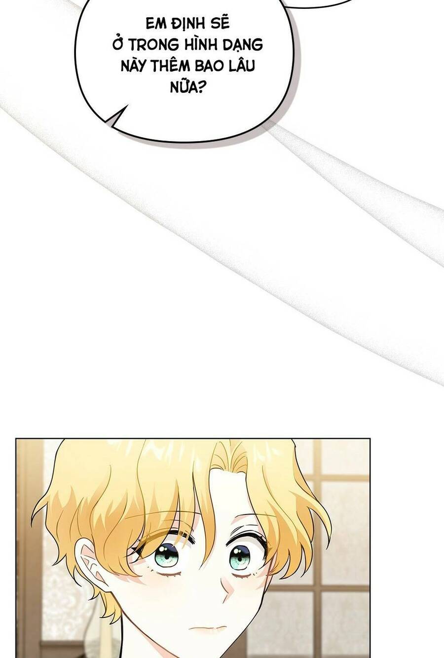 Tìm Lại Camellia - Chương 35