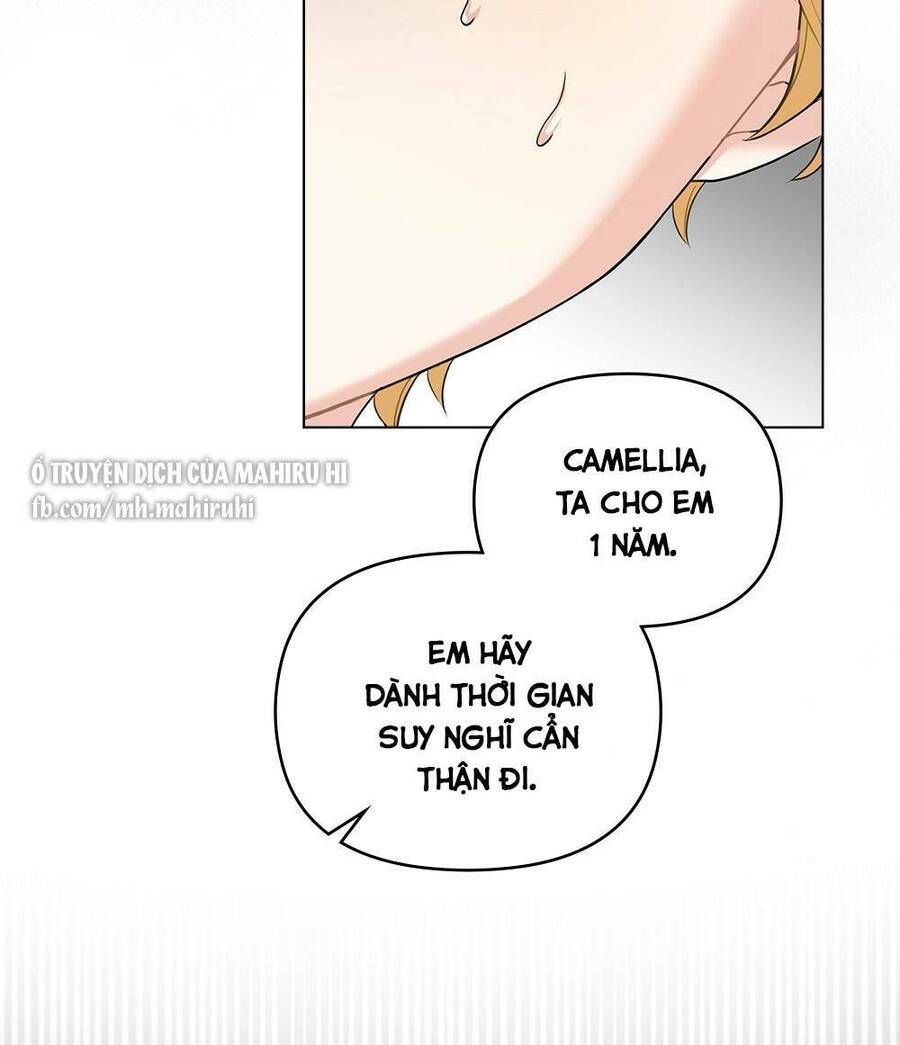 Tìm Lại Camellia - Chương 35