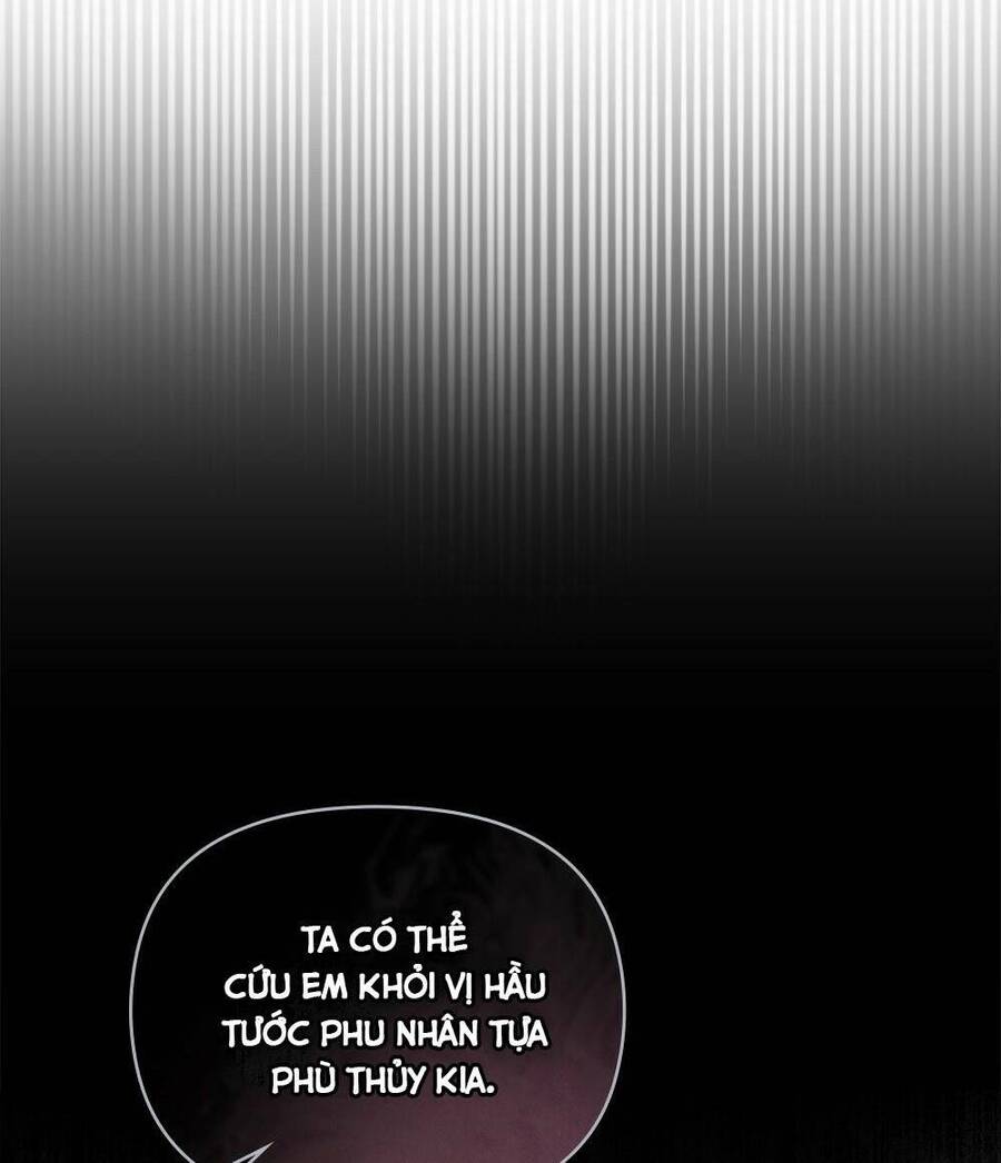 Tìm Lại Camellia - Chương 35