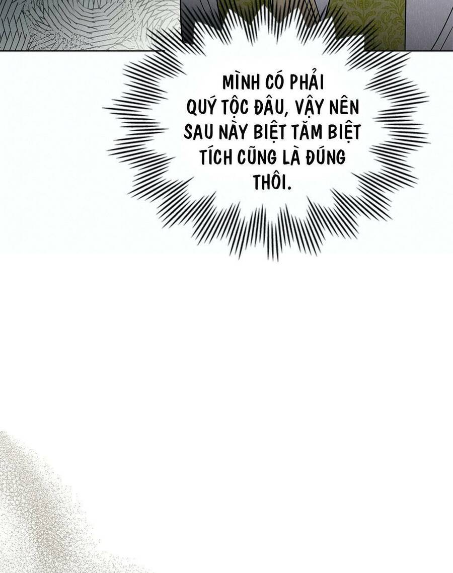 Tìm Lại Camellia - Chương 35