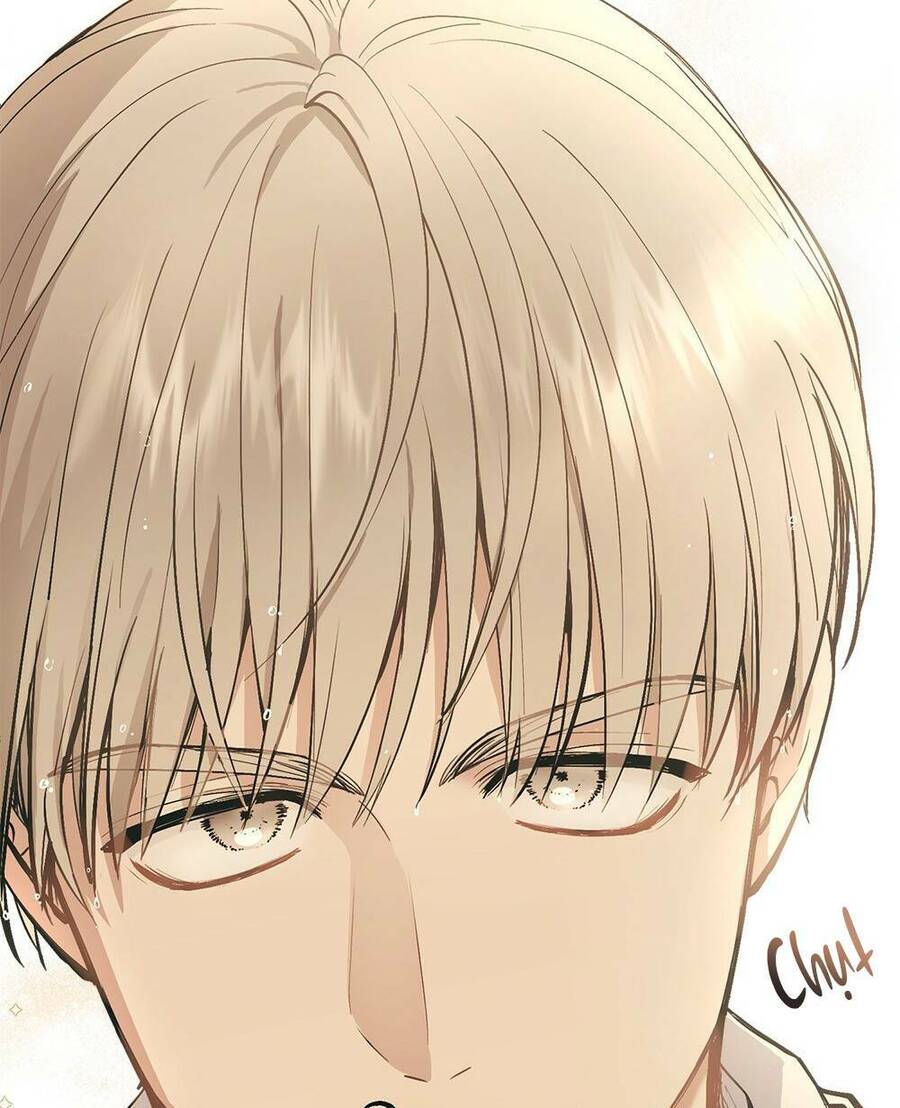 Tìm Lại Camellia - Chương 35