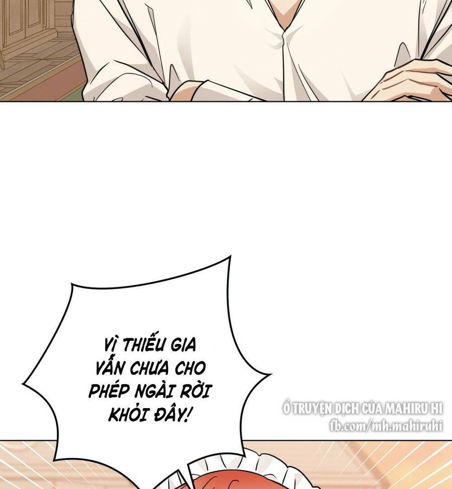 Tìm Lại Camellia - Chương 38