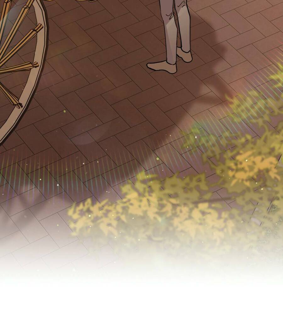 Tìm Lại Camellia - Chương 38