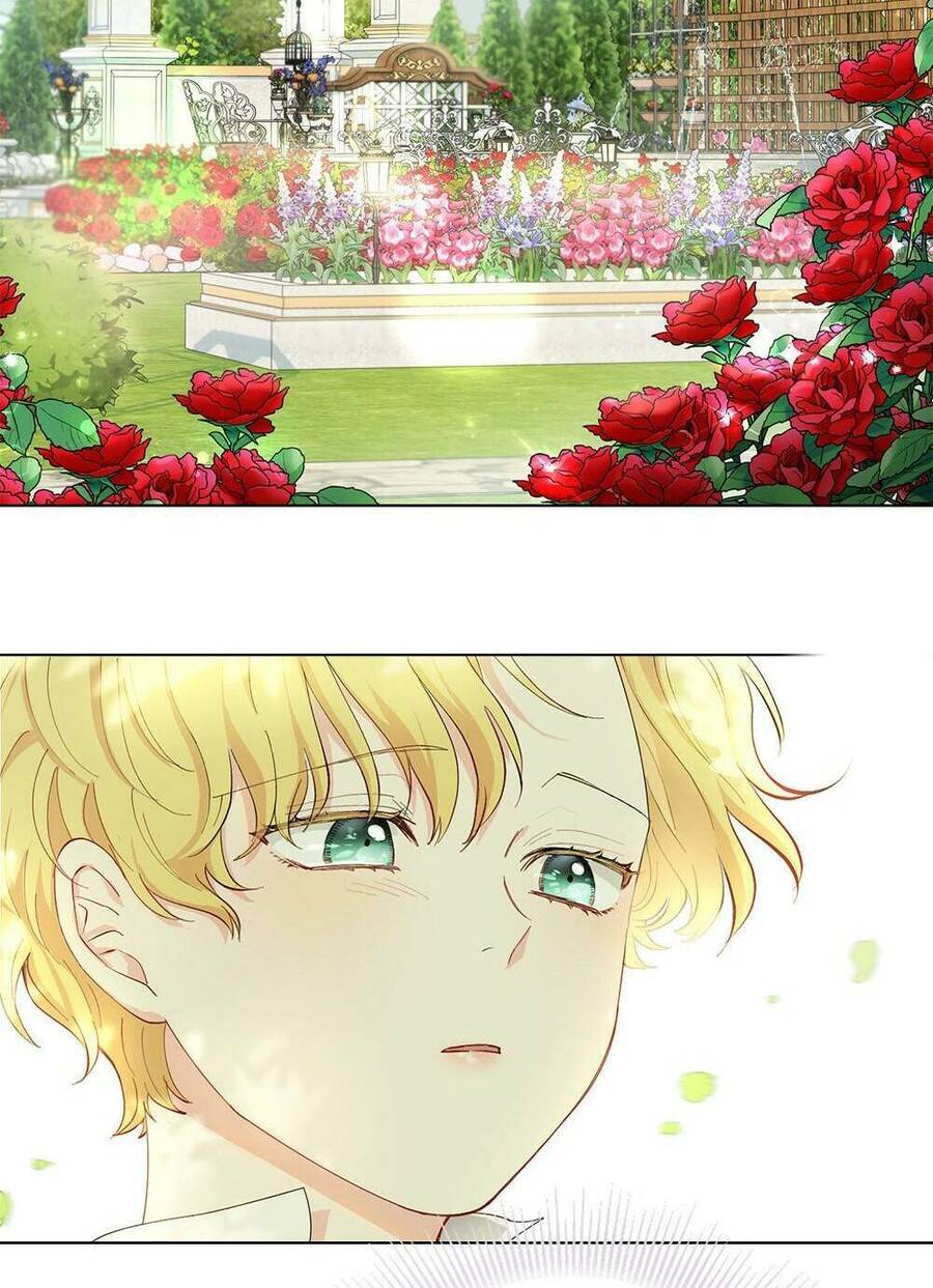 Tìm Lại Camellia - Chương 4