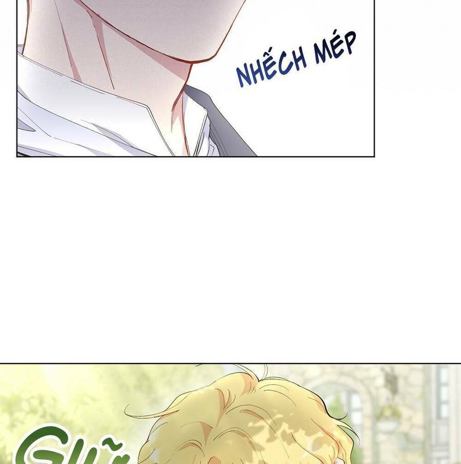 Tìm Lại Camellia - Chương 4