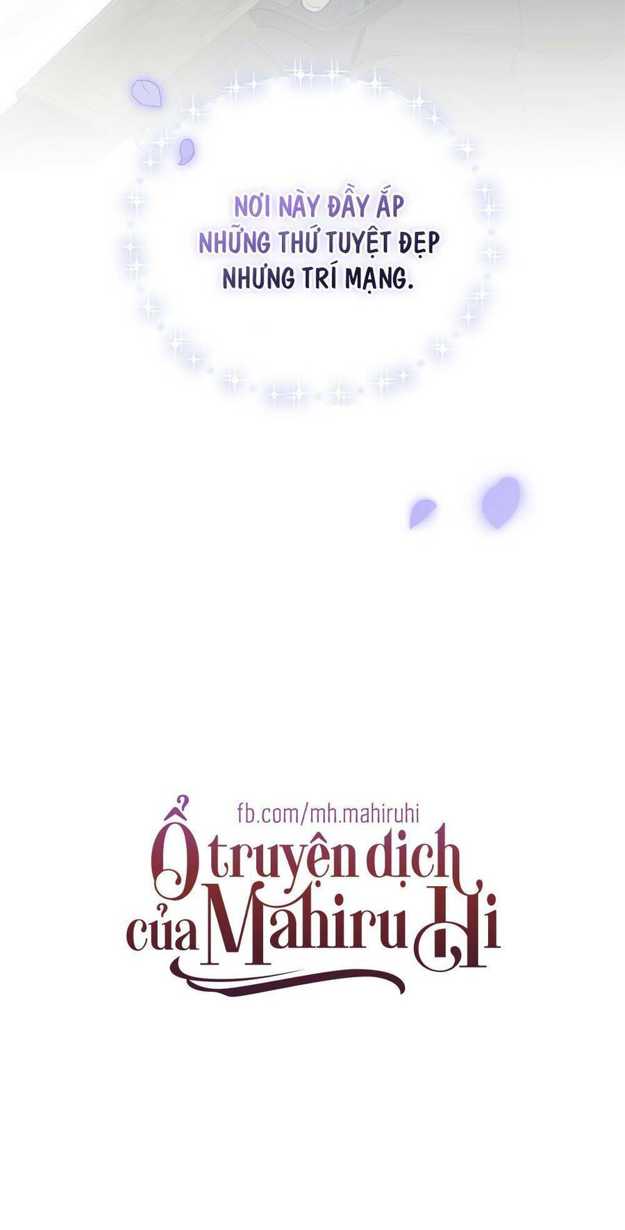 Tìm Lại Camellia - Chương 4