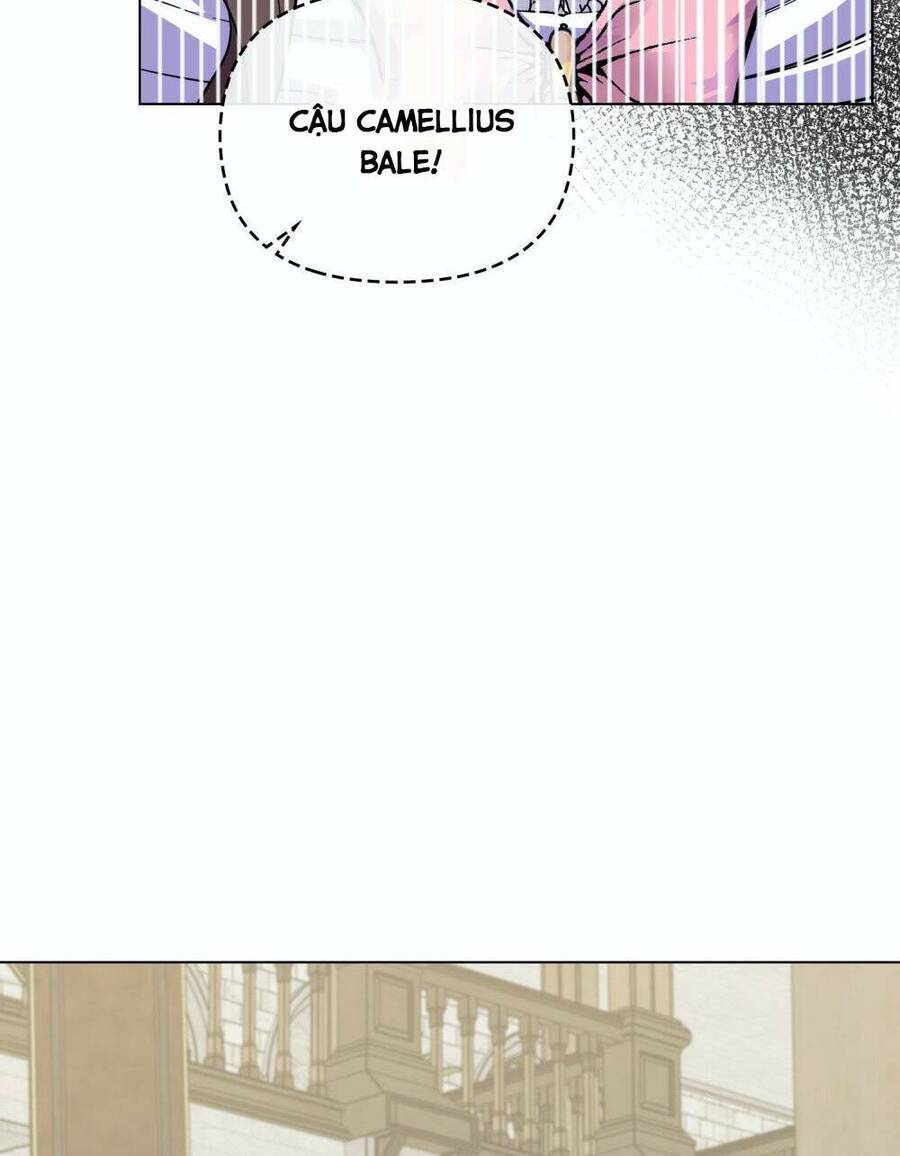 Tìm Lại Camellia - Chương 41