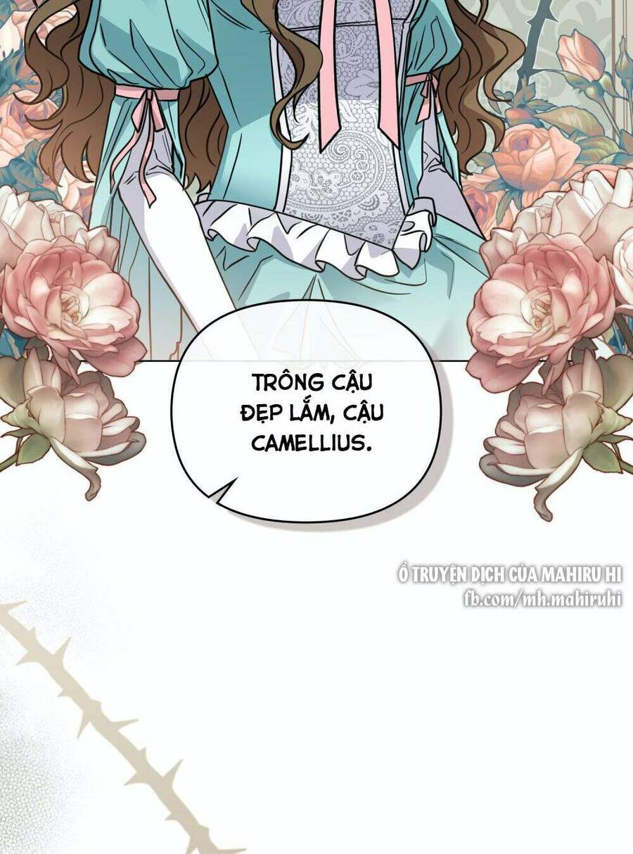 Tìm Lại Camellia - Chương 41