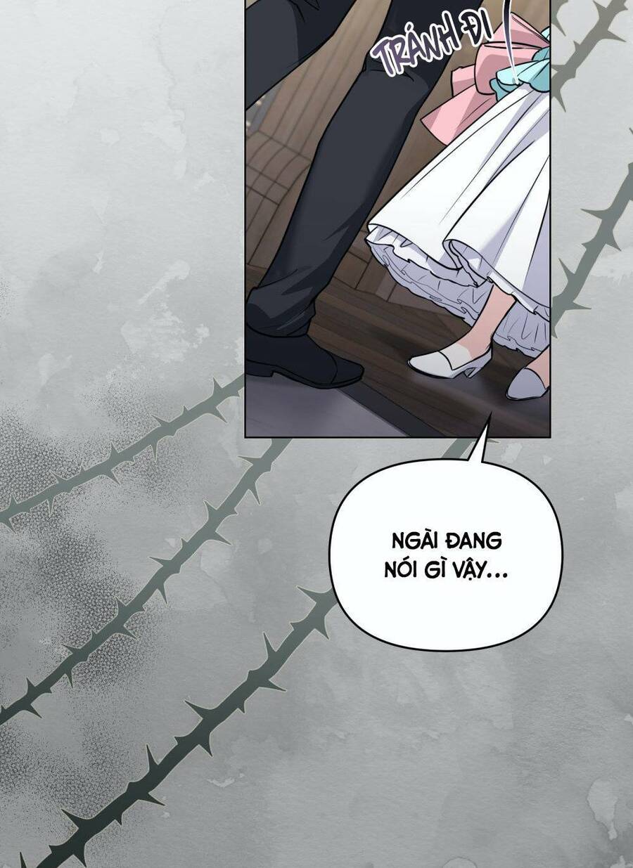 Tìm Lại Camellia - Chương 41