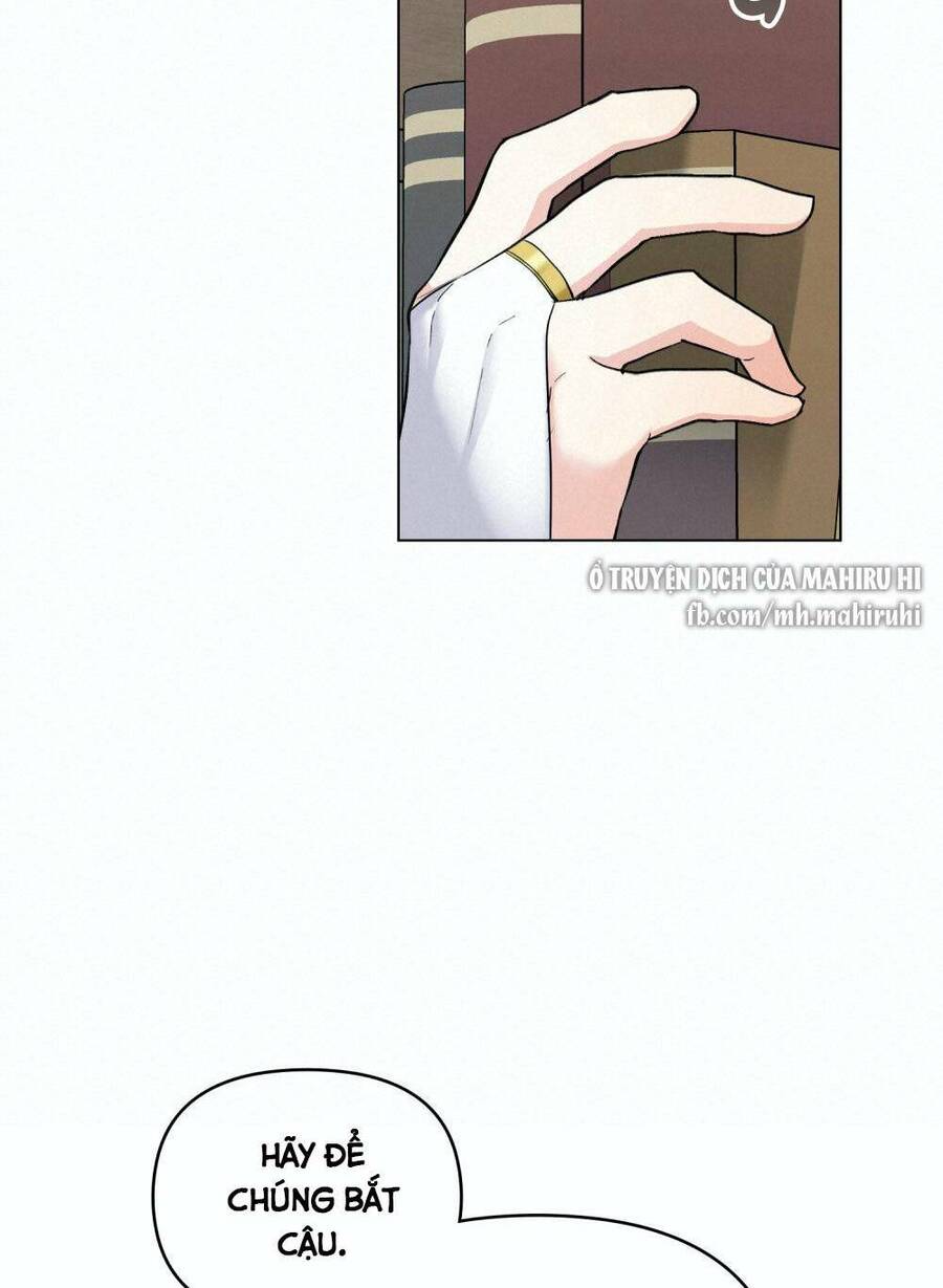 Tìm Lại Camellia - Chương 41