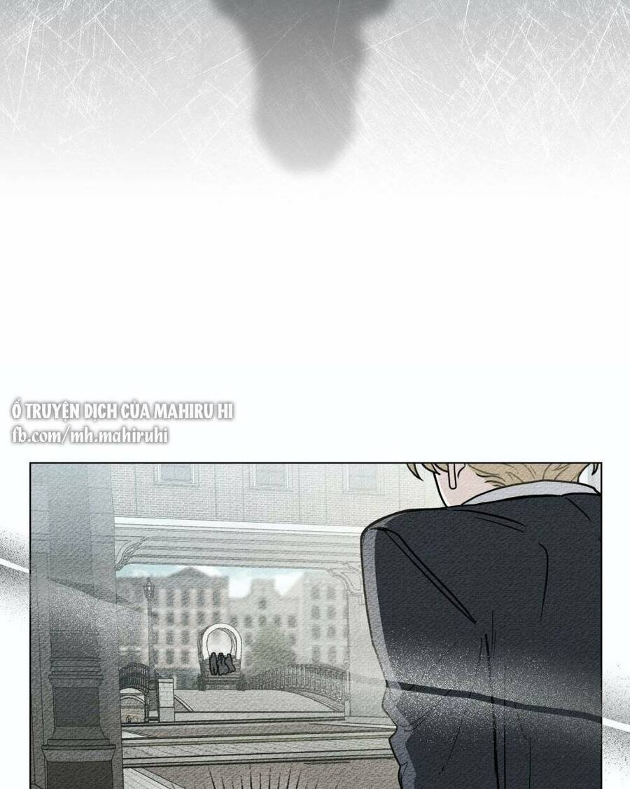 Tìm Lại Camellia - Chương 41