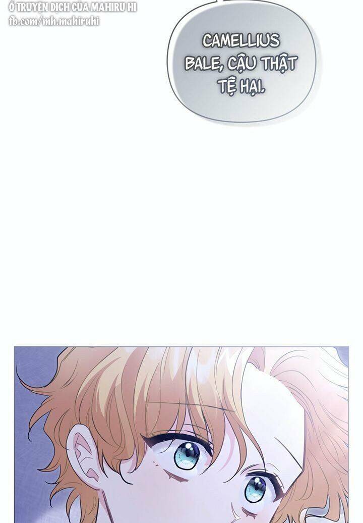 Tìm Lại Camellia - Chương 43