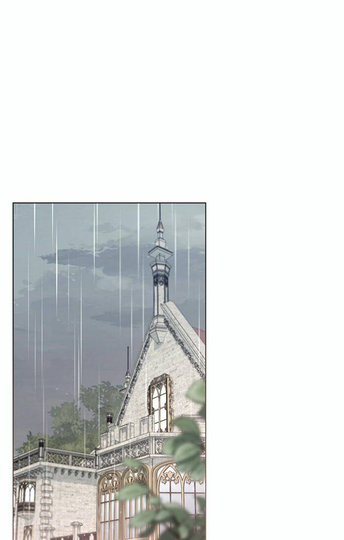 Tìm Lại Camellia - Chương 44