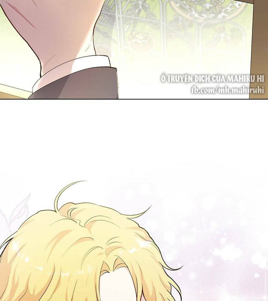 Tìm Lại Camellia - Chương 5