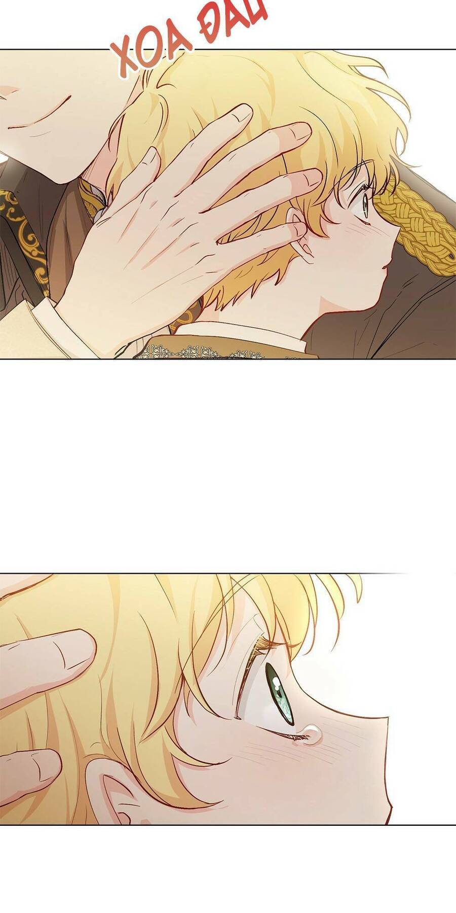 Tìm Lại Camellia - Chương 5