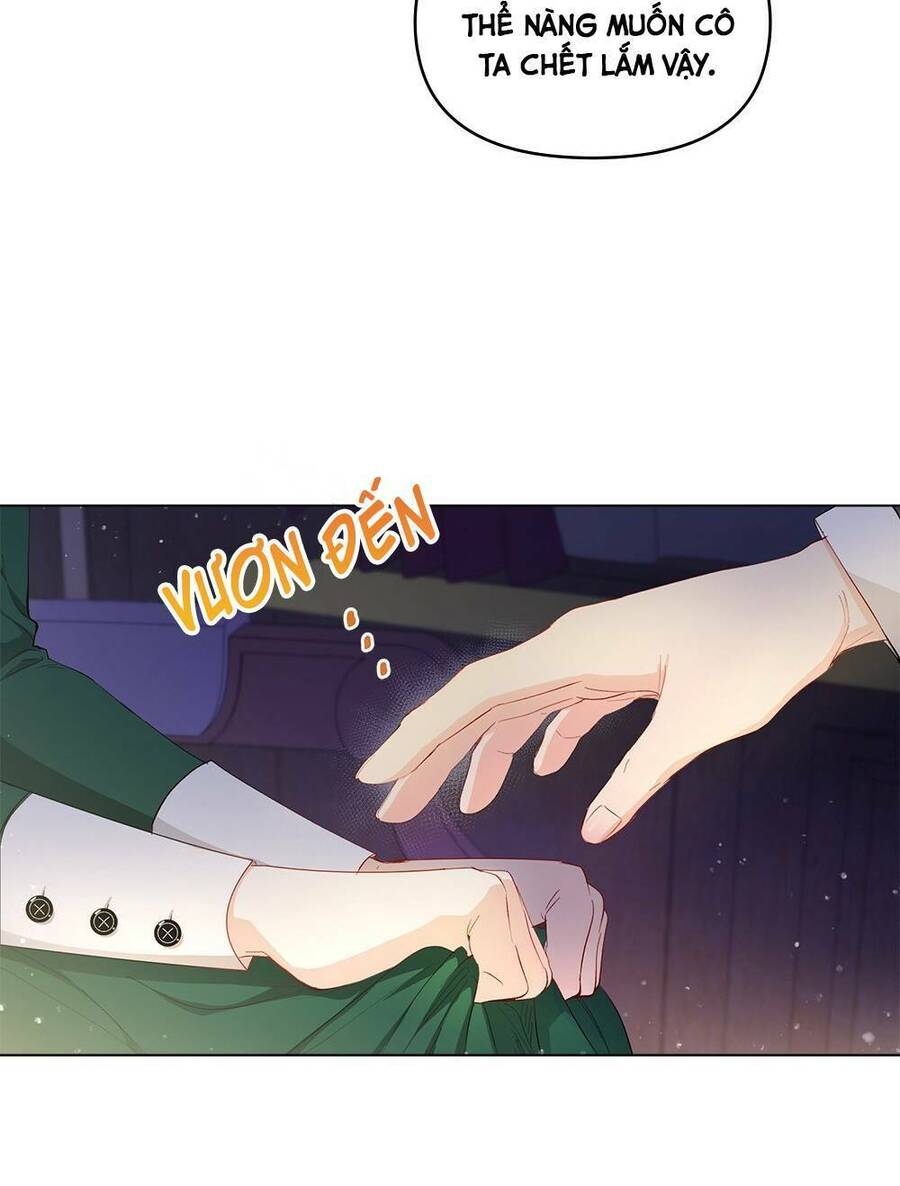 Tìm Lại Camellia - Chương 6