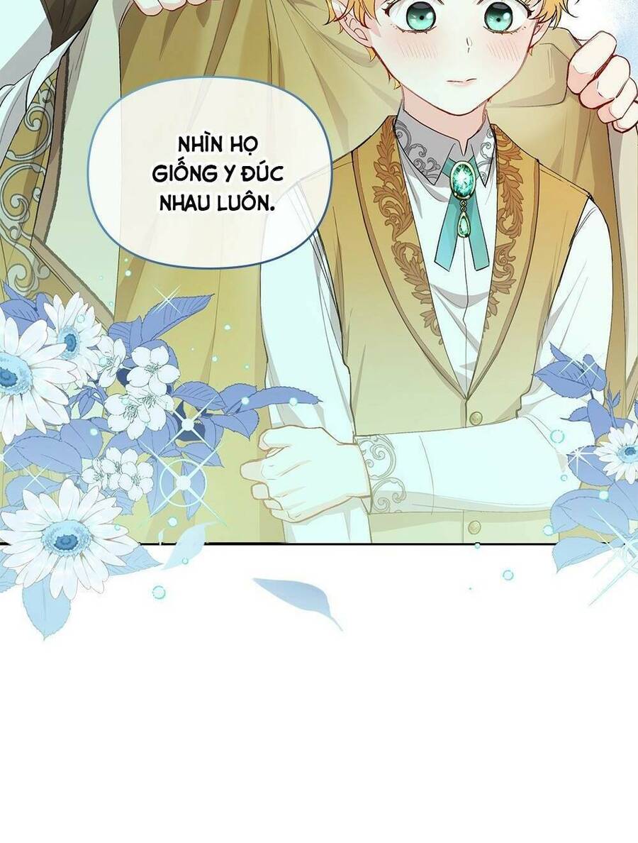 Tìm Lại Camellia - Chương 6