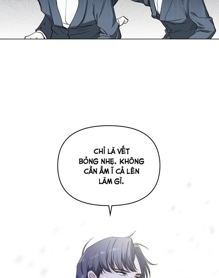 Tìm Lại Camellia - Chương 7