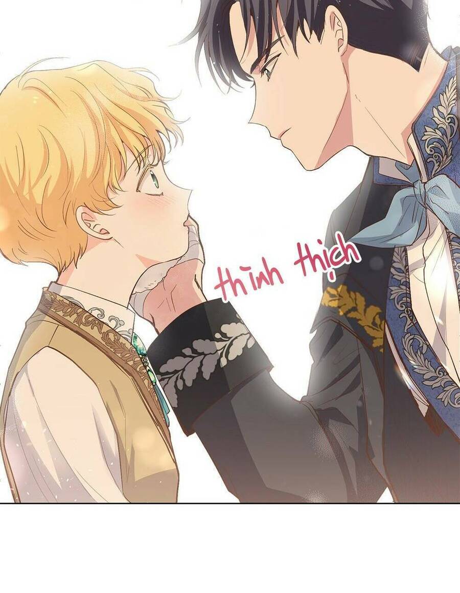 Tìm Lại Camellia - Chương 8