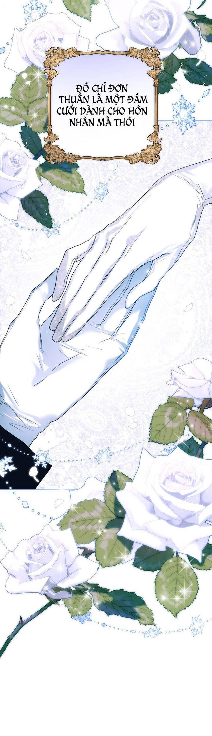 Cuộc Hôn Nhân Hoàng Gia - Chương 22